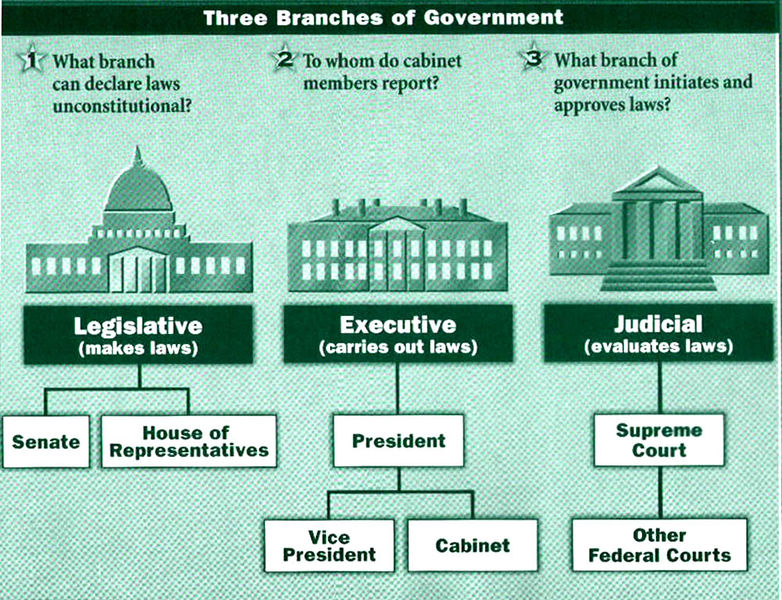 File:3branches.jpg