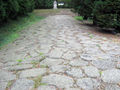 Thumbnail for version as of 20:01, 30 March 2022
